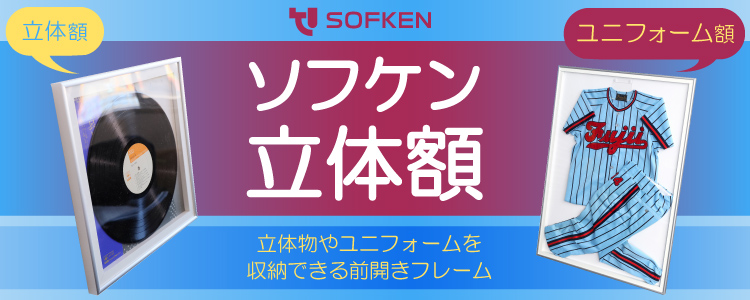 ソフケン　立体額　ユニフォーム額